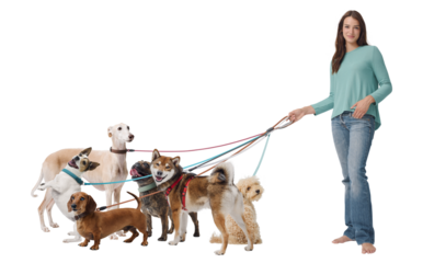 Young dog sitter posing with many dogs