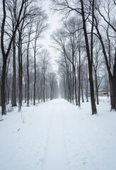 Obraz premium Winter Forest Landscape with Snowy Trees and Buildings for Backgrounds and Posters