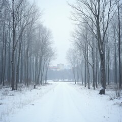 Obraz premium Winter Forest Scene with Snowy Trees and Distant Buildings for Educational Media