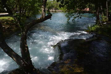 waterfall in the forest