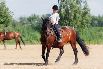Horse riding school. Little children girls at group training equestrian lessons at outdoors ranch...