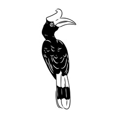 Rhinoceros hornbill. Vector sketch of hand drawn bird. Linear animals art. © Elala 9161