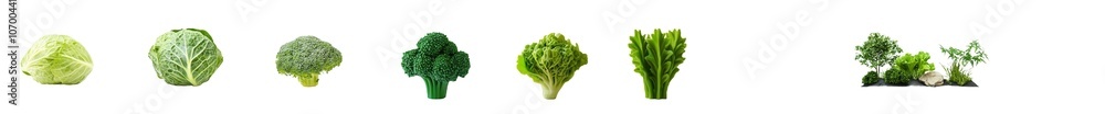 Poster cauliflower, broccoli, and cabbage isolated on a transparent background