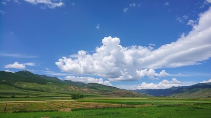 Fototapeta premium Enchanting Blue Sky, White Clouds, and Grassland Scenery: A Serene Escape