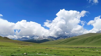 Fototapeta premium Enchanting Blue Sky, White Clouds, and Grassland Scenery: A Serene Escape