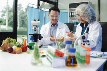 Microbiologist Working on Molecule Samples in Modern Food Science Laboratory.