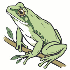 frog on white background