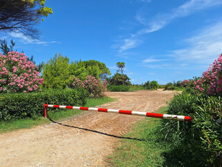 The Lignano Sabbiadoro park along the beach is closed to vehicles by a barrier.