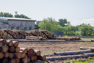 pile of cut tree trunks in a sawmill in the village