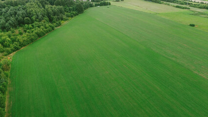 Naklejka premium Aerial view of rural field and tree-lined border