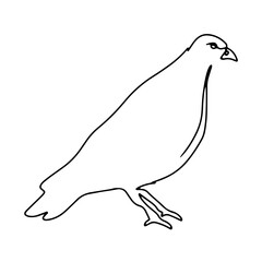 Farm Animal Garden Graphic Design Decoration Vector Line Art