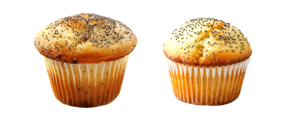 A freshly baked poppy seed muffin or cupcake isolated on white transparent background, topped sprinkled poppy seeds on top
