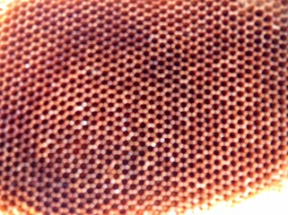 blurred background of honeycomb pattern