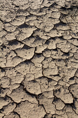 Wall texture soil dry crack pattern of drought lack of water of nature brown old broken background