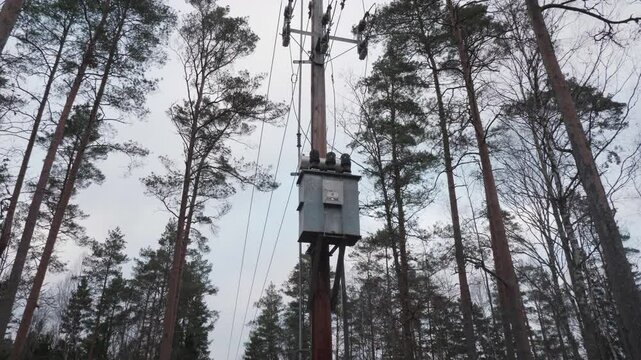 Autumn Forest Meets Tall Power Line Towers