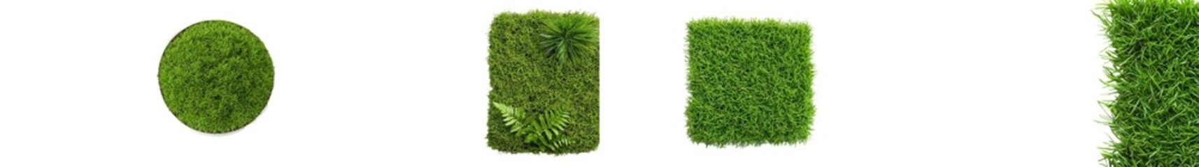 An isolated piece of green moss on a white background, viewed from the top