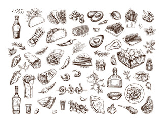 Hand-drawn set of realistic mexican dishes and products. Vintage sketch drawings of Latin American cuisine. Vector ink illustration. Mexican culture. Latin America.