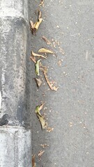Dry Leaves and Debris on Urban Sidewalk During Autumn