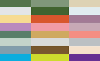 Adobe Illustrator Artwork