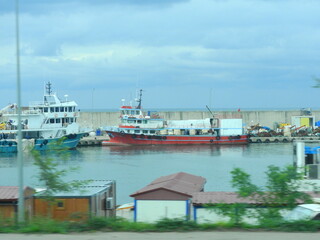 green trees forest landscape photo