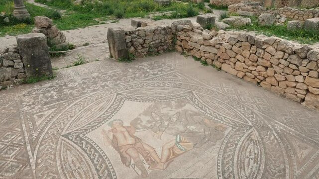 Intricate Floor Mosaics of Ancient Volubilis in Morocco.