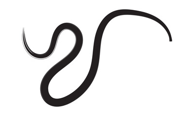 Decorative wavy line . Brush stroke waves. Ornament design. Line art . Abstract flow linear fluid design element .Zigzag wave. Wavy Music sounds lines. Squiggle brush stroke . Vector illustration  . 