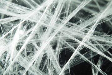 Obraz premium Close-Up Examination of Asbestos Fiber Details