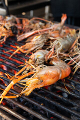 Grilled giant river prawn on stove