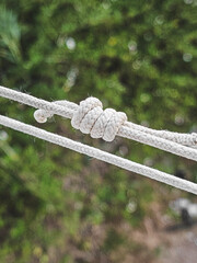 rope knot