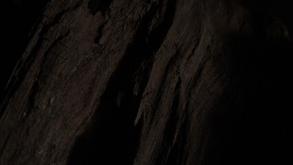 Shadowed dark wood texture with deep grooves.