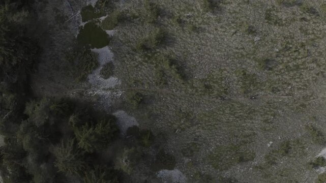 V&eacute;lo VTT montagne