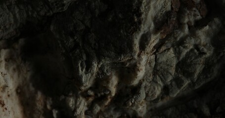 Close-Up of Dark Textured Rock Surface