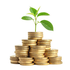 A plant grows on a stack of coins