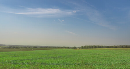 A large, open field with a clear blue sky