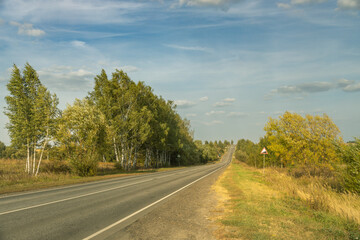 A road with trees on both sides and a sign on the right side