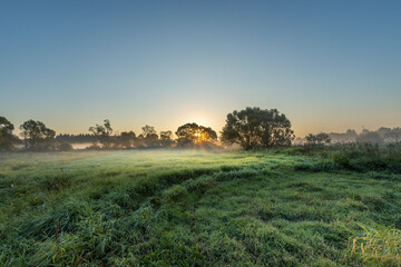 A field of grass with a sun setting in the background