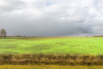 A field of grass with a cloudy sky in the background