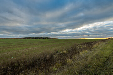 Obraz premium A field with a cloudy sky in the background