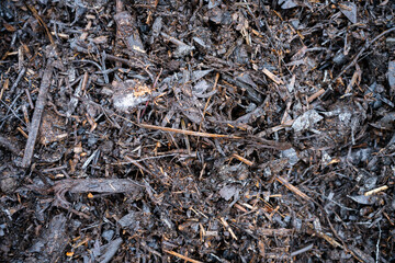 compost ring making compost pile on a farm holding microorganisms storing carbon