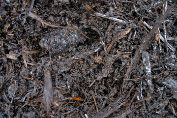 compost ring making compost pile on a farm holding microorganisms storing carbon sustainable regenerative food farm in a field on an agricultural farm in australia