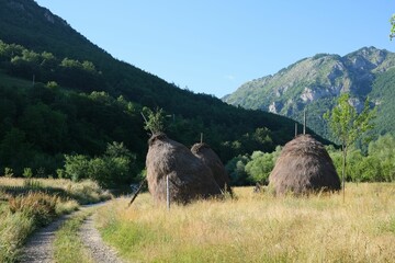 Haystacks in a meadow with mountains under blue sky in National Park Prokletije, Montenegro