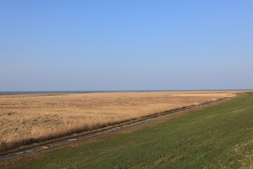 Obraz premium Blick auf die Küstenlandschaft bei Cuxhaven an der Nordsee
