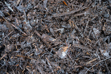 compost ring making compost pile on a farm holding microorganisms storing carbon sustainable regenerative food farm in a field on an agricultural farm in australia