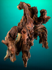 Close-up of wooden driftwood of intricate complex shape for interior decoration on mirror surface on green background