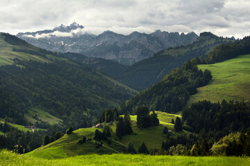 Hilly terrain of the Swiss Alps. View of the Swiss Alps in the St. Gallen area. Small rural houses on the slopes