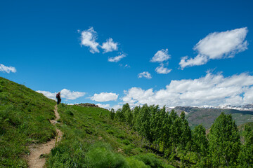 Fototapete bei efototapeten.de bestellen   