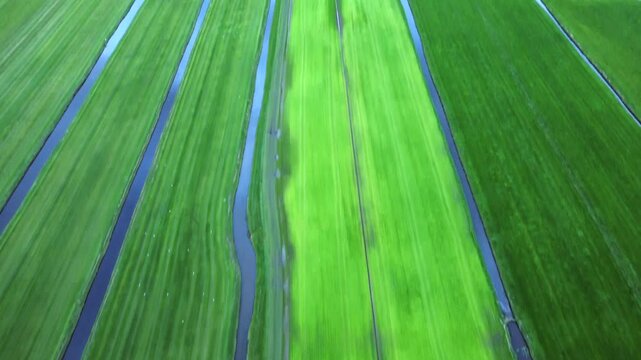 Top down aerial tilt view, green rural pasture meadows, water ditches