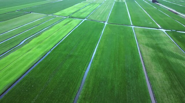 Lush green growth meadow environments, grazing fields, aerial scenery