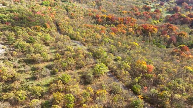 Drone view of automnal forest in the Col de Vence in France