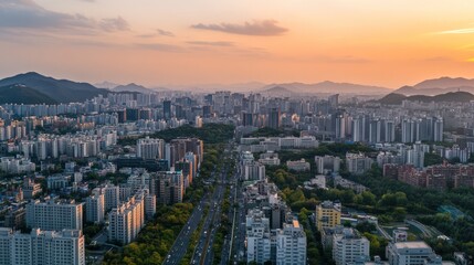Fototapeta premium sector-specific DCA experts in South Korea focusing on targeted industries, organized and focused,